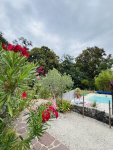 IMG 5060 - Le Gite Préchacquois dans les LANDES